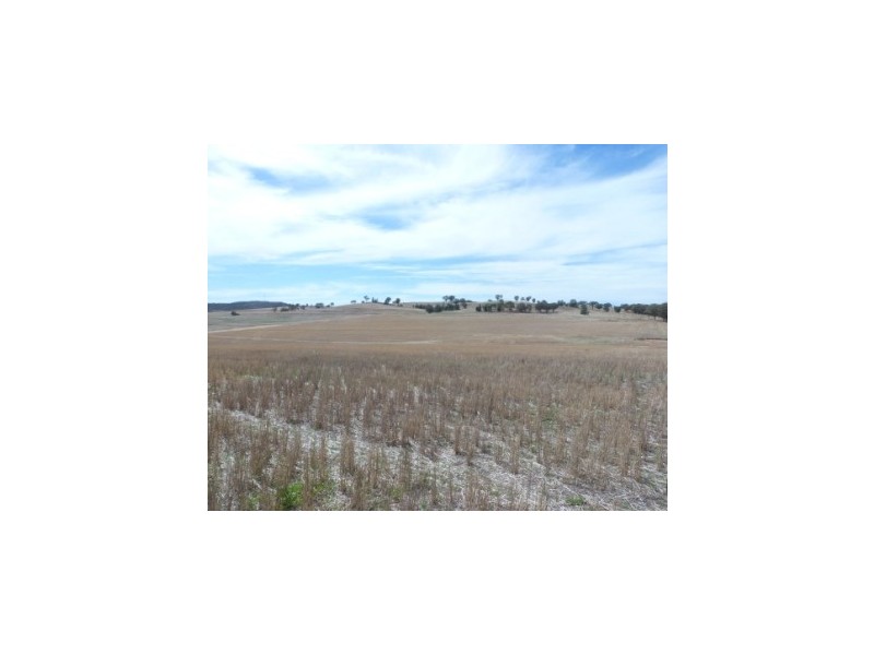 147 Manganese Road, Grenfell NSW 2810