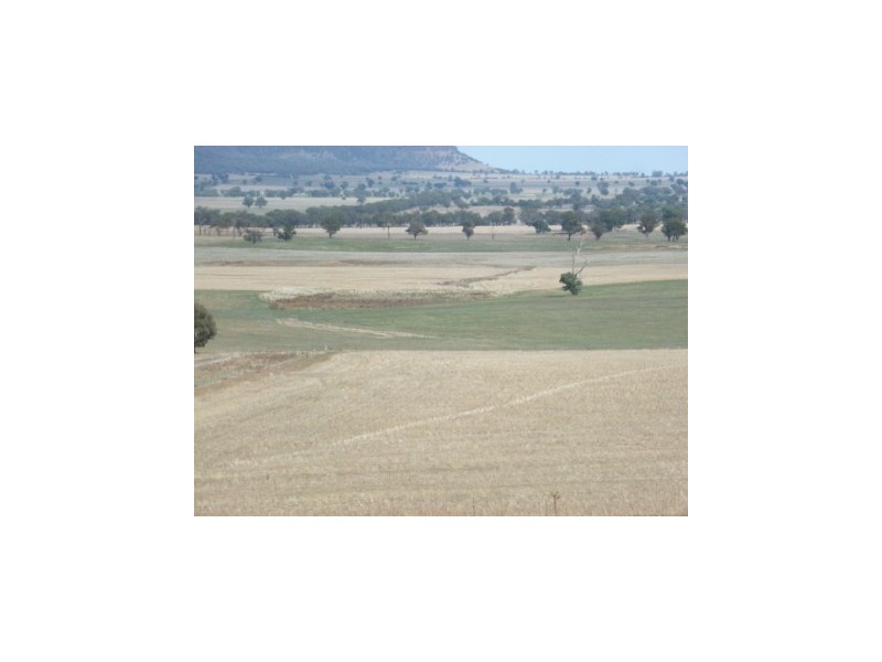 147 Manganese Road, Grenfell NSW 2810