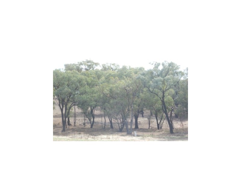 147 Manganese Road, Grenfell NSW 2810