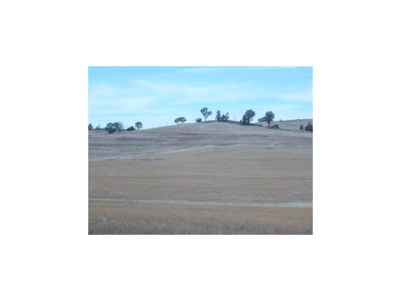 147 Manganese Road, Grenfell NSW 2810