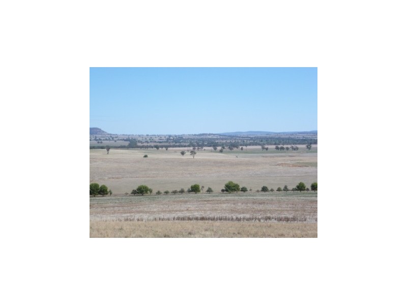 147 Manganese Road, Grenfell NSW 2810