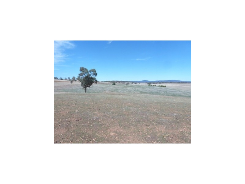 147 Manganese Road, Grenfell NSW 2810