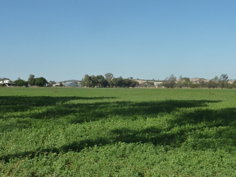 1528 Sturt Highway, Borambola via, Wagga Wagga NSW 2650