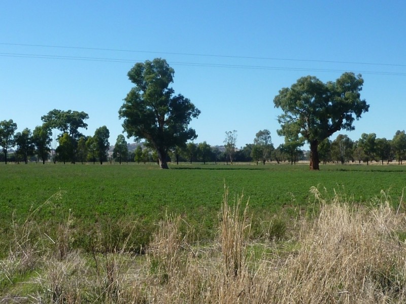 1528 Sturt Highway, Borambola via, Wagga Wagga NSW 2650