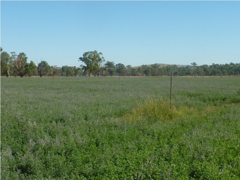 1528 Sturt Highway, Borambola via, Wagga Wagga NSW 2650