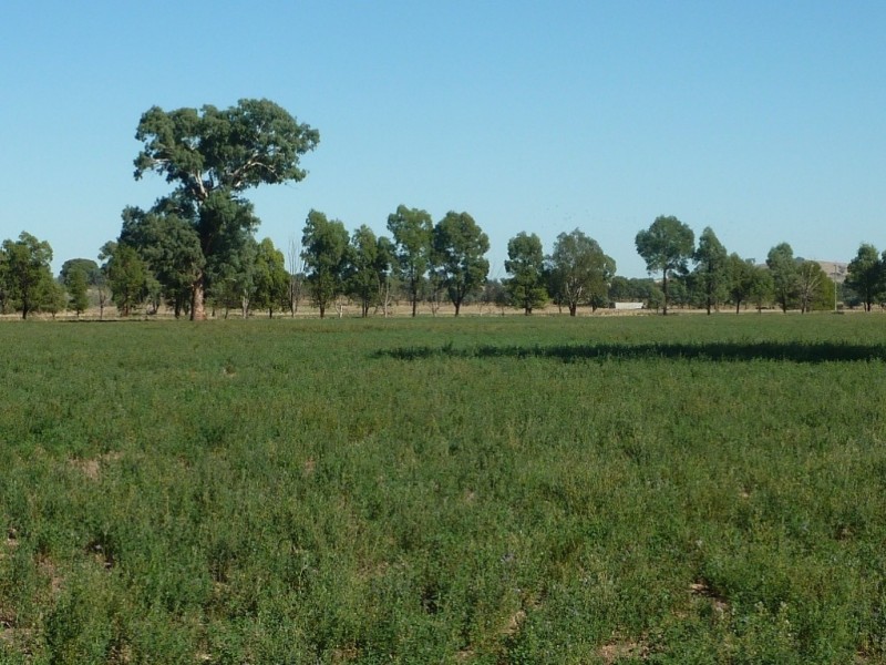 1528 Sturt Highway, Borambola via, Wagga Wagga NSW 2650
