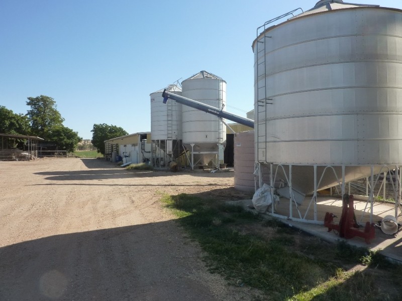 1528 Sturt Highway, Borambola via, Wagga Wagga NSW 2650