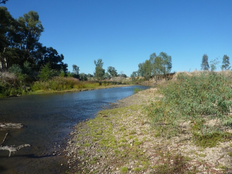 1528 Sturt Highway, Borambola via, Wagga Wagga NSW 2650