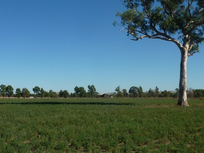 1528 Sturt Highway, Borambola via, Wagga Wagga NSW 2650