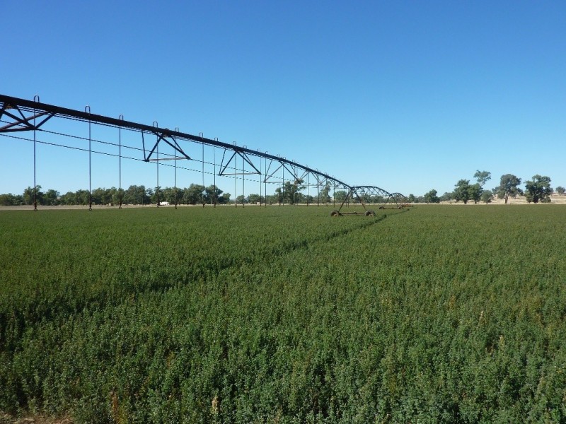 1528 Sturt Highway, Borambola via, Wagga Wagga NSW 2650