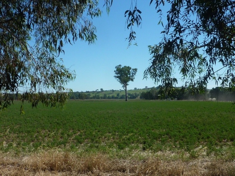 1528 Sturt Highway, Borambola via, Wagga Wagga NSW 2650
