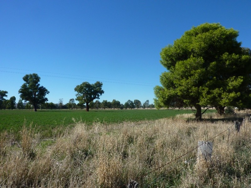 1528 Sturt Highway, Borambola via, Wagga Wagga NSW 2650