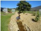 136 Cogdell Lane, Kergunyah VIC 3691