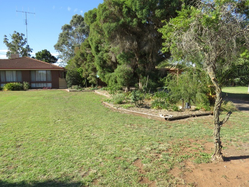 57 Budd Street, Berrigan NSW 2712