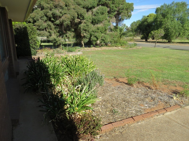 57 Budd Street, Berrigan NSW 2712