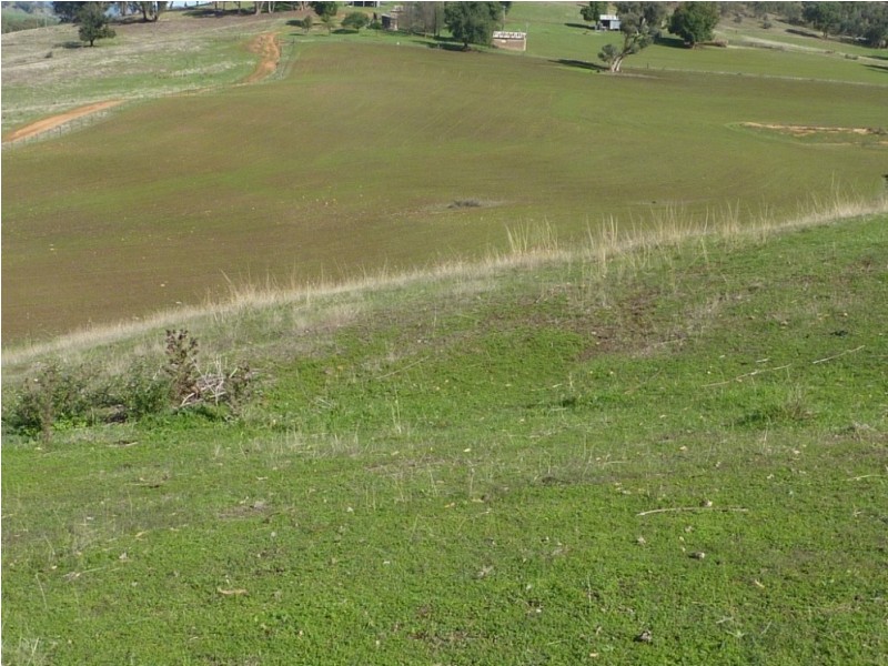 2500 Westbrook Road, Tarcutta Via, Wagga Wagga NSW 2650