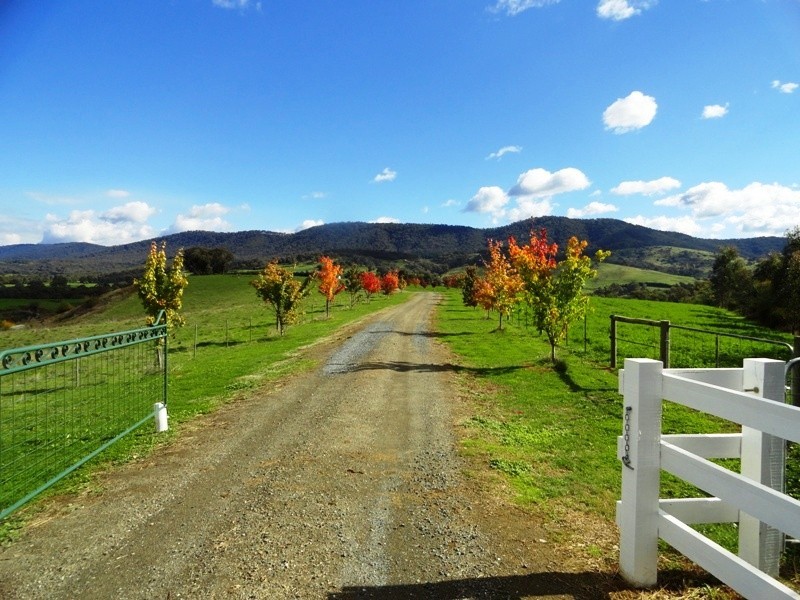 2923 Myrtleford – Yackandandah Road, Yackandandah VIC 3749