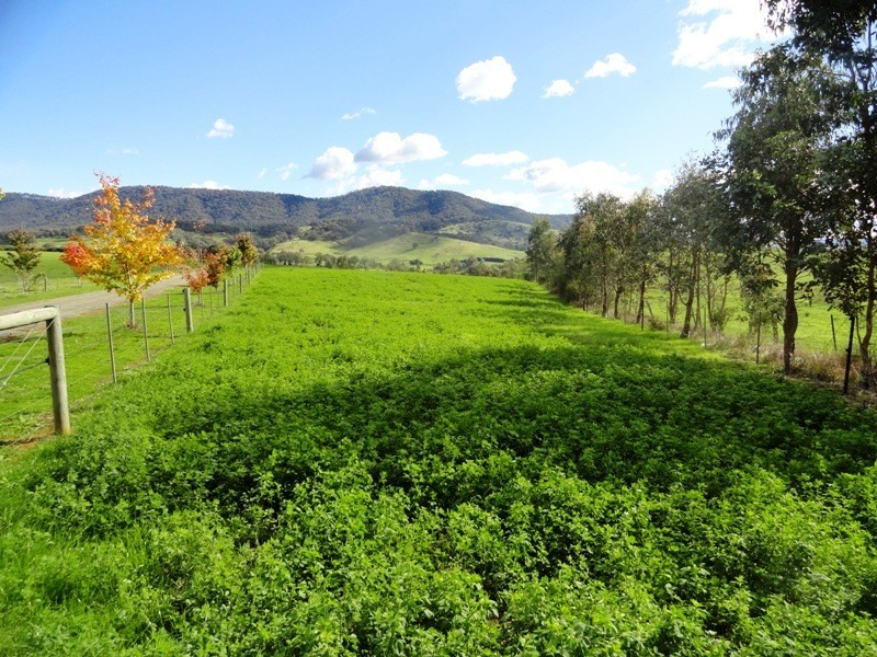 2923 Myrtleford – Yackandandah Road, Yackandandah VIC 3749