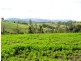 2923 Myrtleford – Yackandandah Road, Yackandandah VIC 3749