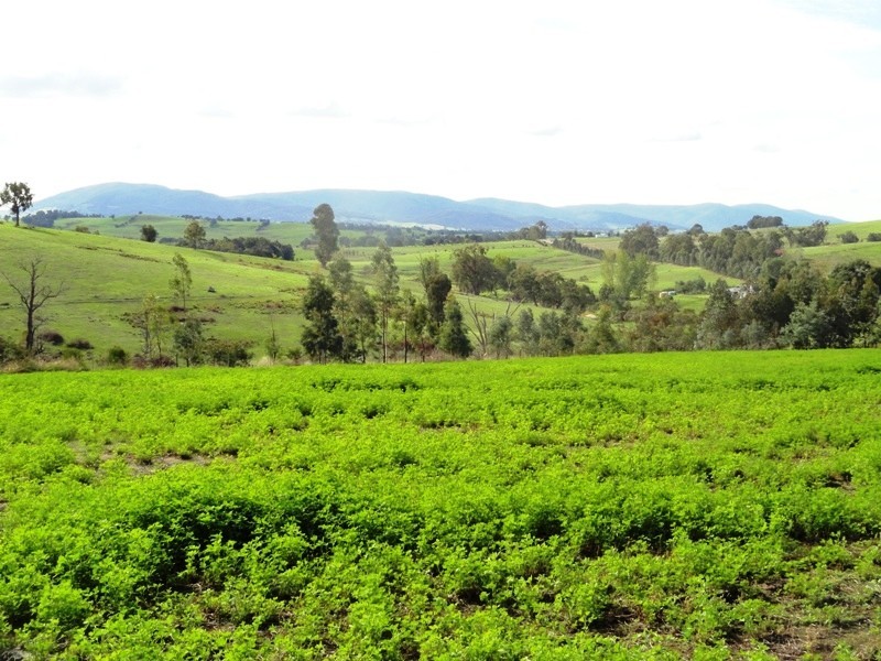 2923 Myrtleford – Yackandandah Road, Yackandandah VIC 3749