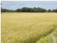 1265 Millear Road, Deniliquin NSW 2710