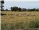 1265 Millear Road, Deniliquin NSW 2710