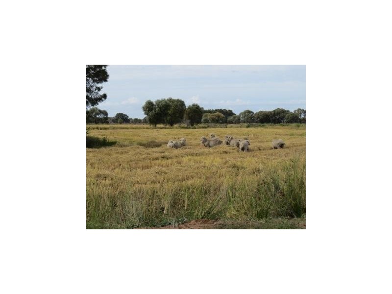 1265 Millear Road, Deniliquin NSW 2710