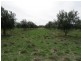 1265 Millear Road, Deniliquin NSW 2710