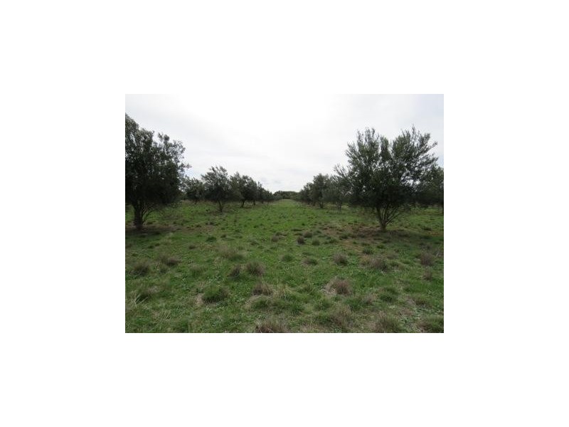 1265 Millear Road, Deniliquin NSW 2710