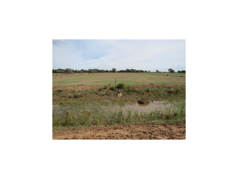 1265 Millear Road, Deniliquin NSW 2710