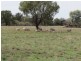 1265 Millear Road, Deniliquin NSW 2710