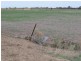 1265 Millear Road, Deniliquin NSW 2710