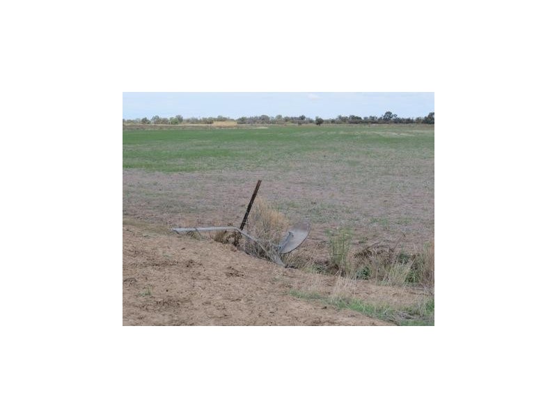 1265 Millear Road, Deniliquin NSW 2710