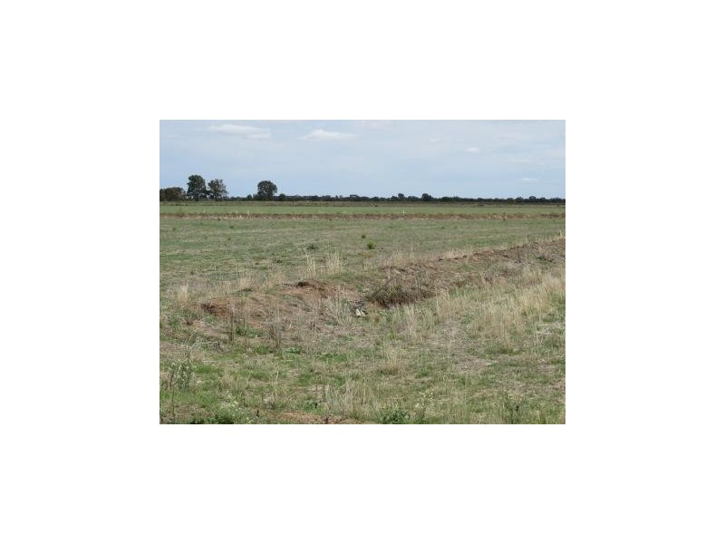 1265 Millear Road, Deniliquin NSW 2710