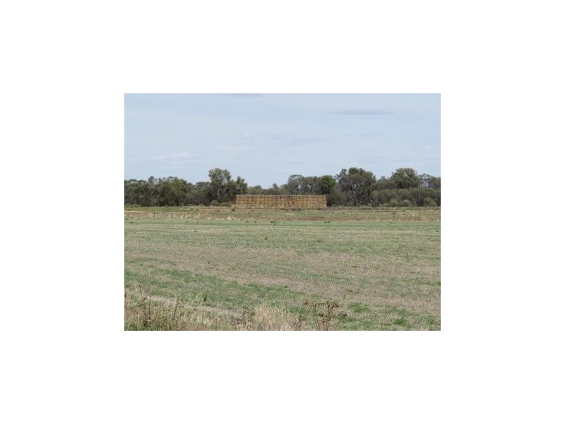 1265 Millear Road, Deniliquin NSW 2710