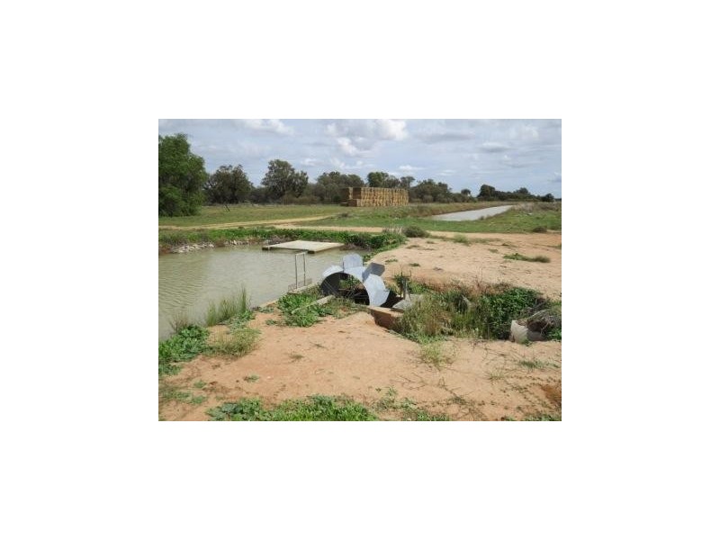 1265 Millear Road, Deniliquin NSW 2710
