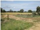 1265 Millear Road, Deniliquin NSW 2710