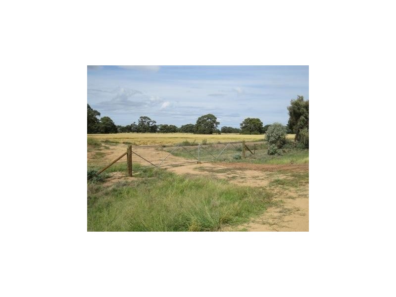 1265 Millear Road, Deniliquin NSW 2710