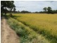 1265 Millear Road, Deniliquin NSW 2710