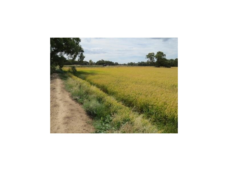 1265 Millear Road, Deniliquin NSW 2710