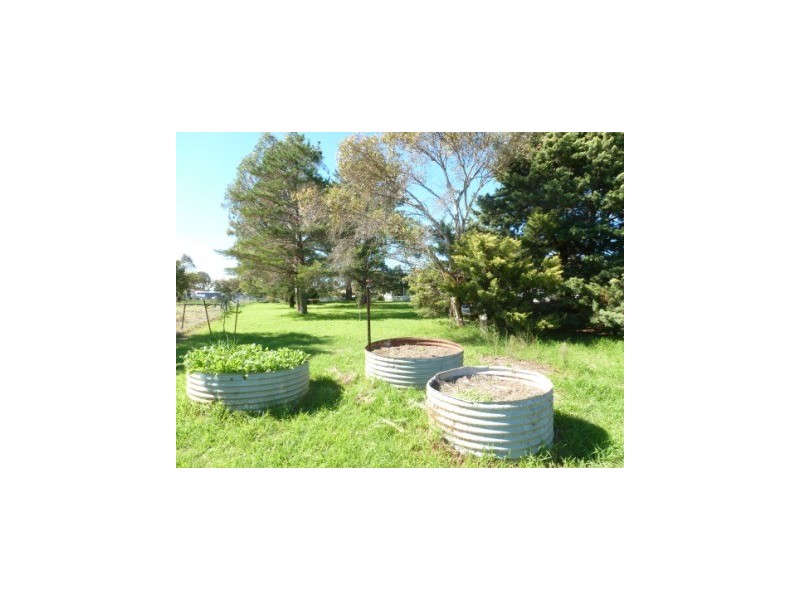 35-43 Court Street, Boorowa NSW 2586