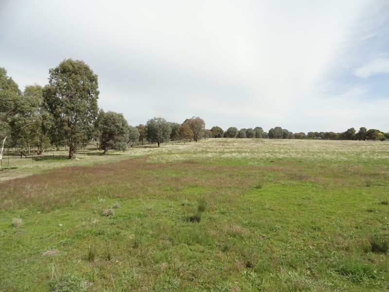 1065 Urana Road, Jindera NSW 2642