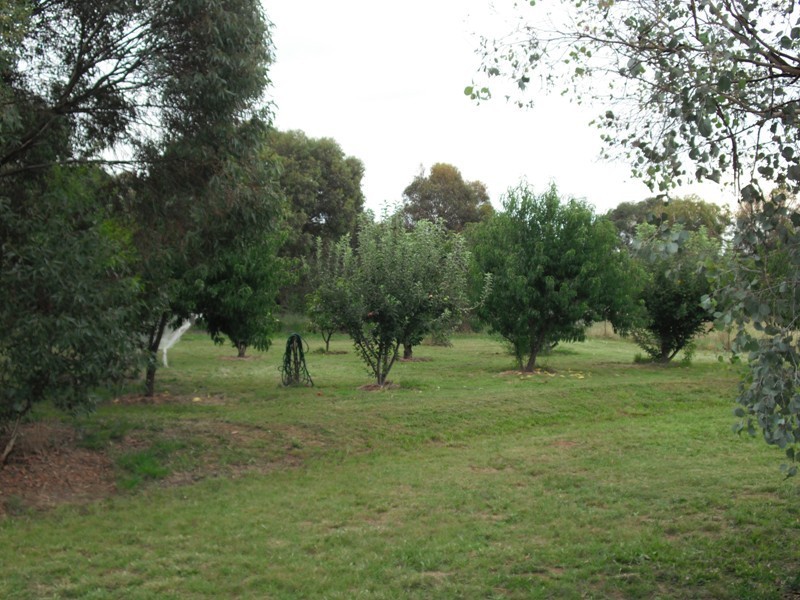 1065 Urana Road, Jindera NSW 2642