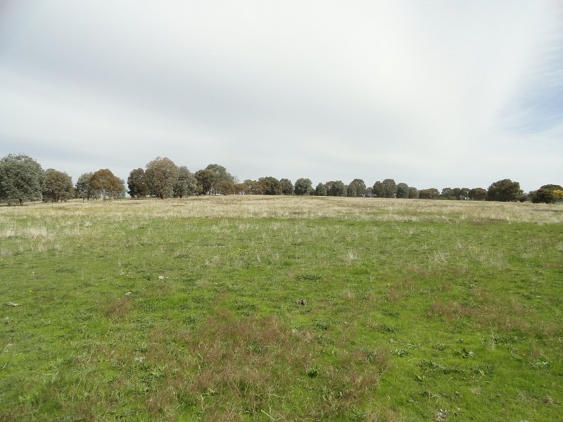 1065 Urana Road, Jindera NSW 2642