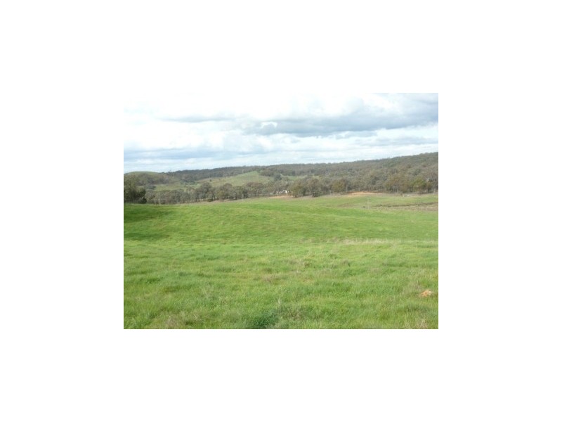 699 Taylors Flat Road, Boorowa NSW 2586