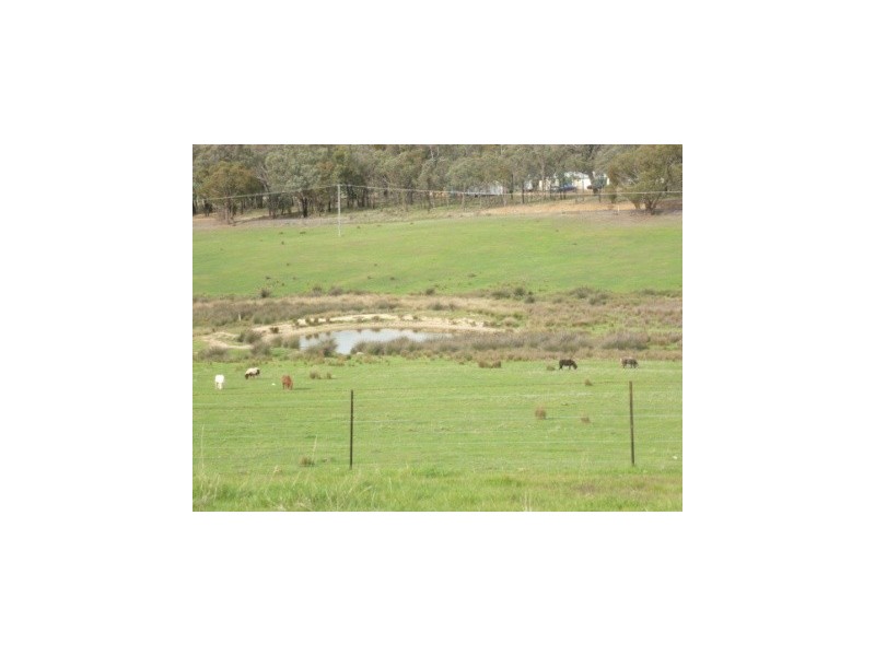 699 Taylors Flat Road, Boorowa NSW 2586