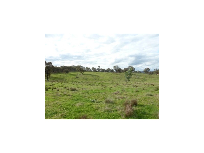 699 Taylors Flat Road, Boorowa NSW 2586