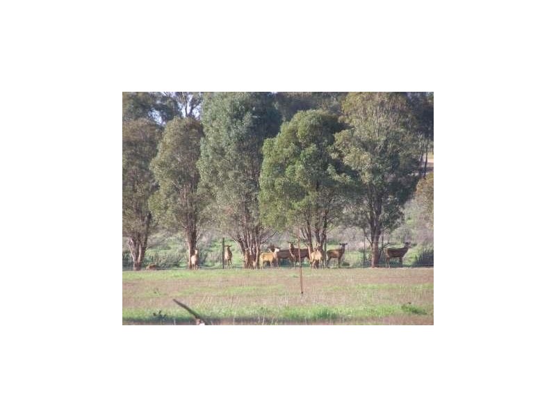 1775 Sturt Highway, Wagga Wagga NSW 2650