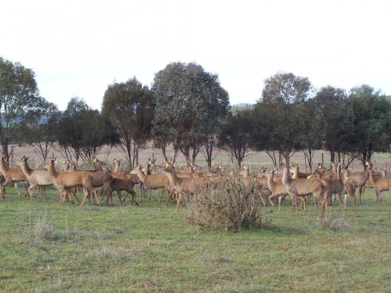 1775 Sturt Highway, Wagga Wagga NSW 2650