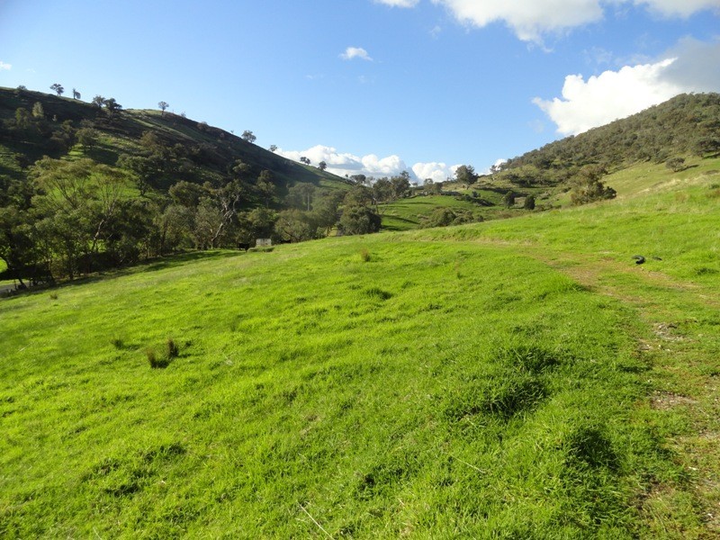 132 Bryants Gap Road, Charleroi VIC 3695